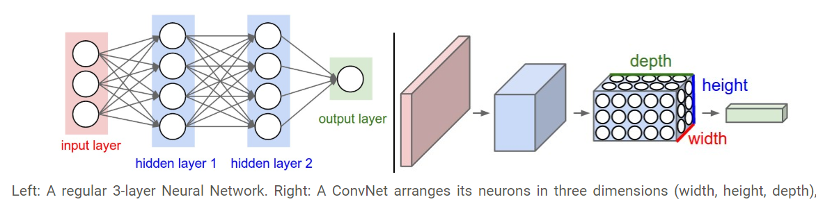 Depth of top neural network